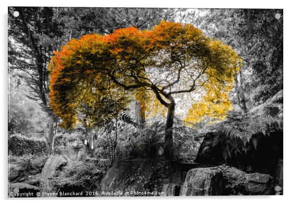 Orange tree Acrylic by Steven Blanchard