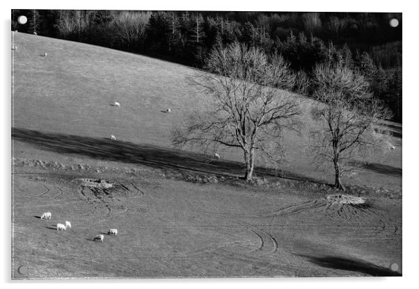 Grazing sheep and trees. Derbyshire, UK. Acrylic by Liam Grant