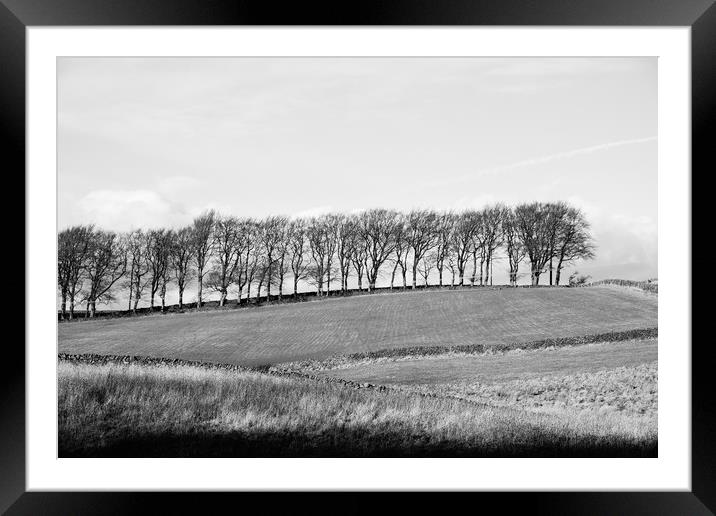 Trees on the horizon of a hill. Derbyshire, UK. Framed Mounted Print by Liam Grant