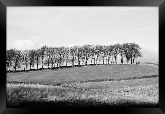 Trees on the horizon of a hill. Derbyshire, UK. Framed Print by Liam Grant