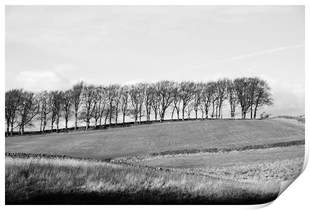Trees on the horizon of a hill. Derbyshire, UK. Print by Liam Grant
