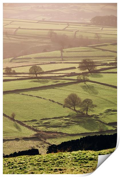 Hazy light at sunset over a vallery of fields. Der Print by Liam Grant