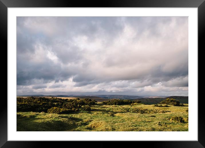 Gorse bushes on a hilltop at sunset. Derbyshire, U Framed Mounted Print by Liam Grant