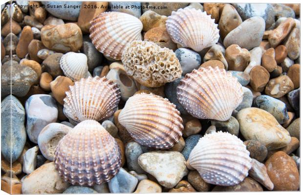Shells and pebbles Canvas Print by Susan Sanger