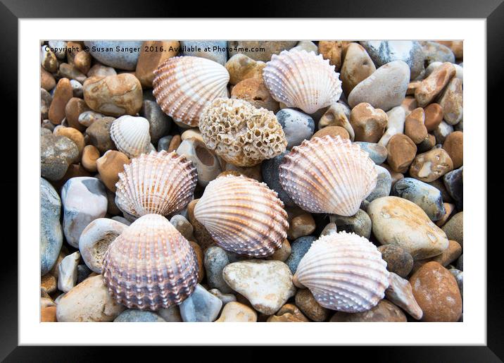 Shells and pebbles Framed Mounted Print by Susan Sanger