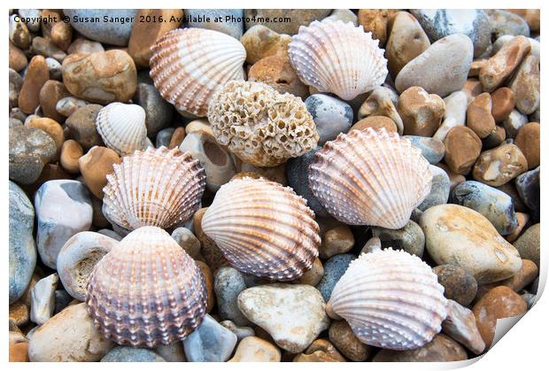 Shells and pebbles Print by Susan Sanger