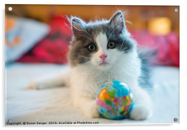 Cute RagaMuffin Kitten with ball Acrylic by Susan Sanger