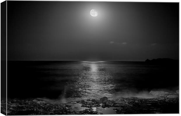 Moon on the sea Canvas Print by Ray Hill