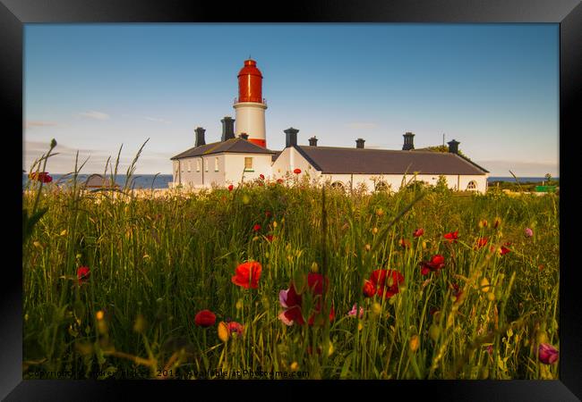Souter lighthouse with flowers Framed Print by andrew blakey