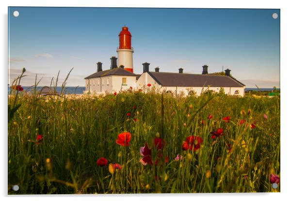 Souter lighthouse with flowers Acrylic by andrew blakey