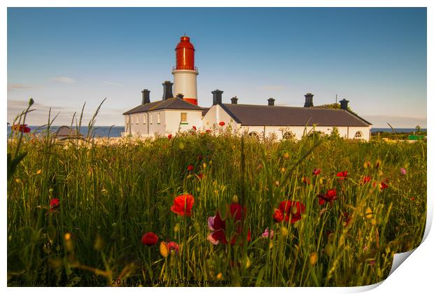 Souter lighthouse with flowers Print by andrew blakey