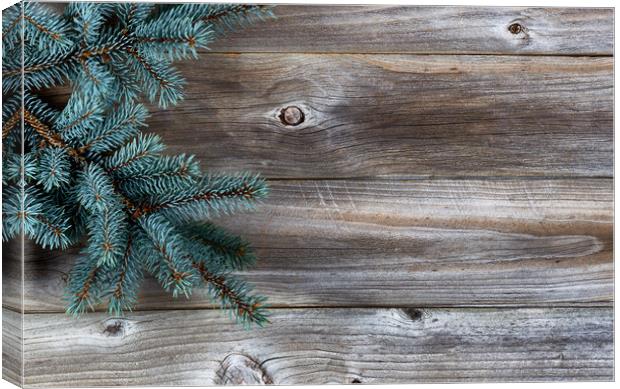 Christmas Tree on rustic wood  Canvas Print by Thomas Baker