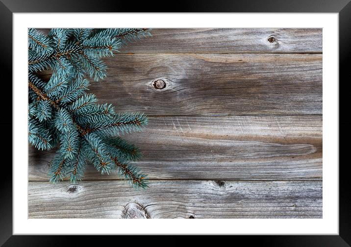 Christmas Tree on rustic wood  Framed Mounted Print by Thomas Baker