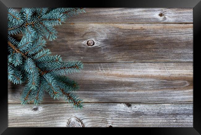 Christmas Tree on rustic wood  Framed Print by Thomas Baker