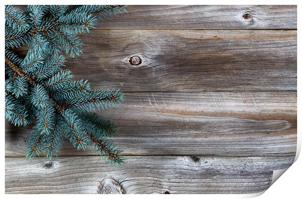 Christmas Tree on rustic wood  Print by Thomas Baker