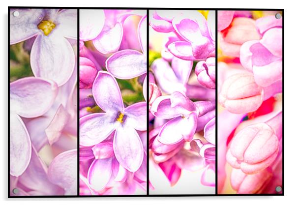 Lilac Bouquet Quadtych One Acrylic by John Williams