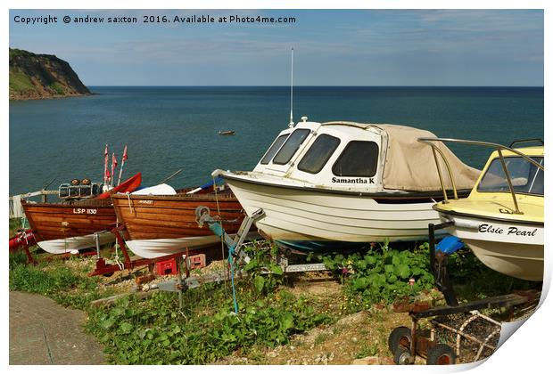 YORKSHIRE PEARL Print by andrew saxton