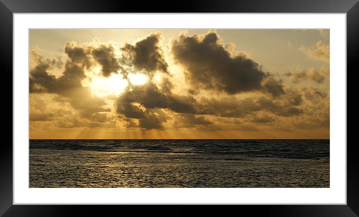 Sunburst sunset Framed Mounted Print by Dan Thorogood