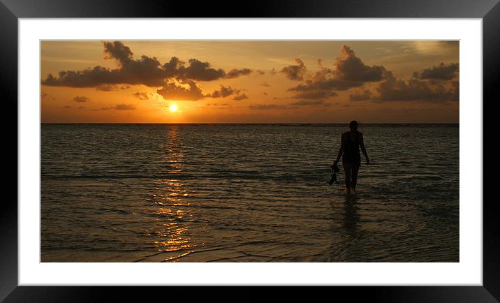 Sunset silhouette Framed Mounted Print by Dan Thorogood
