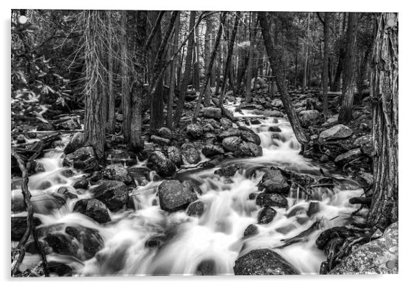 Bridalveil Creek, Yosemite National Park Acrylic by Gareth Burge Photography