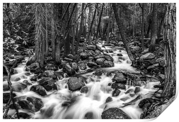 Bridalveil Creek, Yosemite National Park Print by Gareth Burge Photography