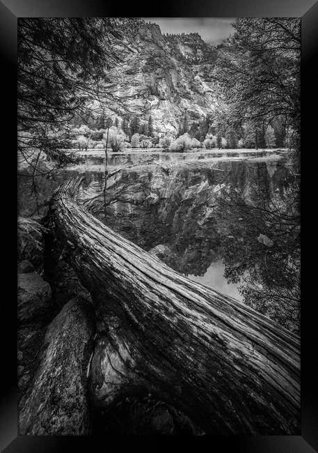 Fallen Tree, Mirror Lake, Yosemite National Park Framed Print by Gareth Burge Photography