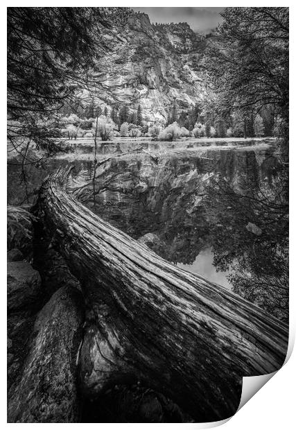 Fallen Tree, Mirror Lake, Yosemite National Park Print by Gareth Burge Photography