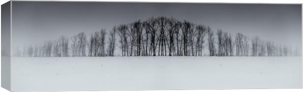 Winter Tree Symmetry Long Horizontal Canvas Print by John Williams