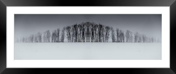Winter Tree Symmetry Long Horizontal Framed Mounted Print by John Williams