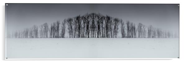 Winter Tree Symmetry Long Horizontal Acrylic by John Williams