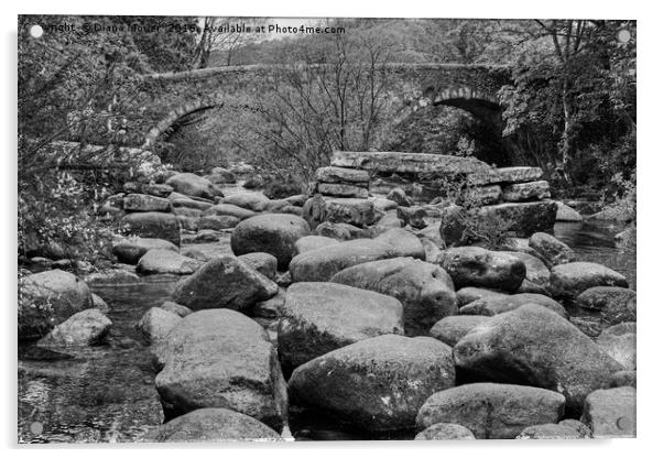 Dartmeet Devon Acrylic by Diana Mower