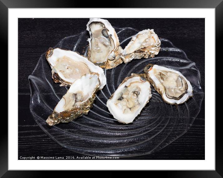 Oysters  still life Framed Mounted Print by Massimo Lama
