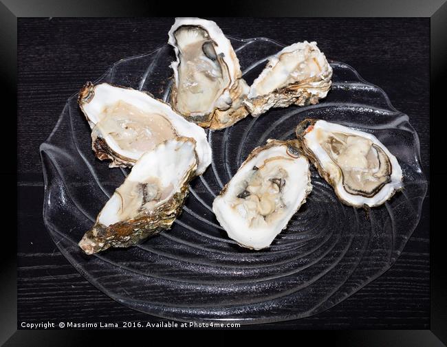Oysters  still life Framed Print by Massimo Lama