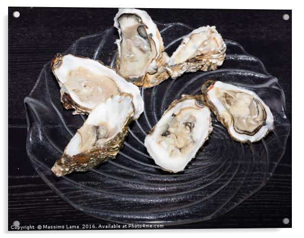 Oysters  still life Acrylic by Massimo Lama