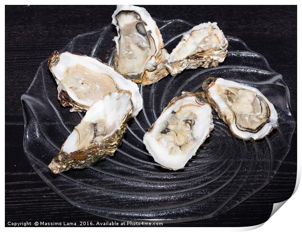 Oysters  still life Print by Massimo Lama