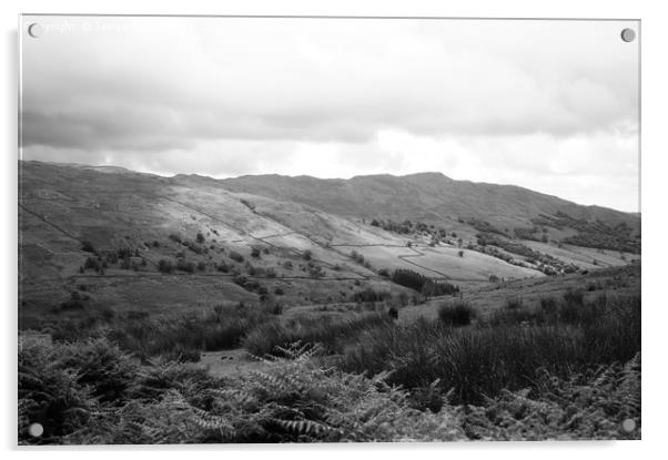Cumbrian landscape - Kirkstone Pass Acrylic by James Wood