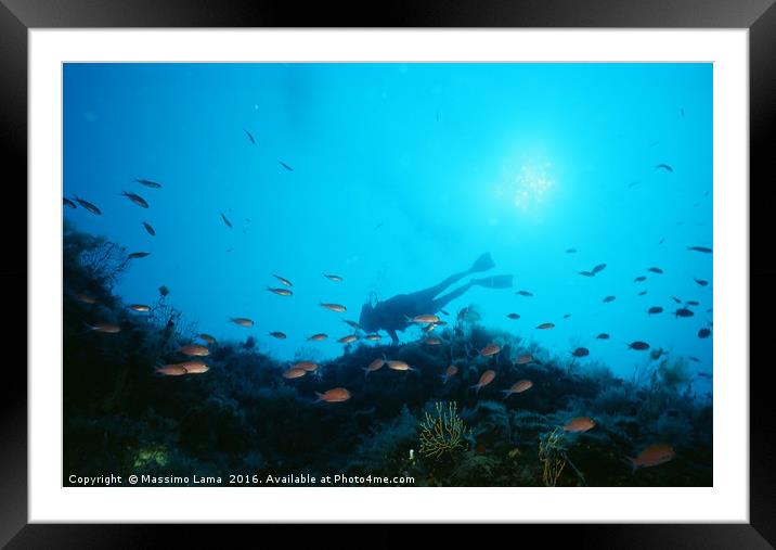 Silhouette underwater Framed Mounted Print by Massimo Lama