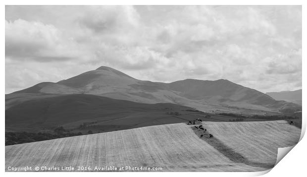 Skiddaw Print by Charles Little