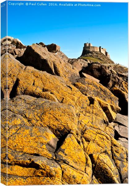 Lindisfarne Castle over lichen covered rocks. Canvas Print by Paul Cullen