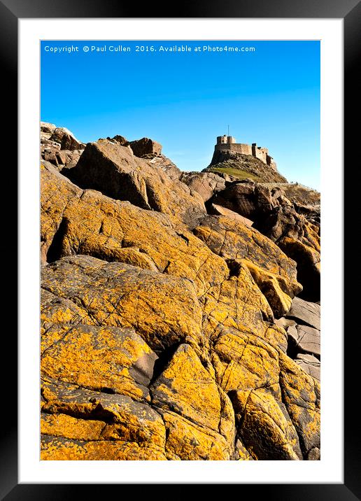 Lindisfarne Castle over lichen covered rocks. Framed Mounted Print by Paul Cullen