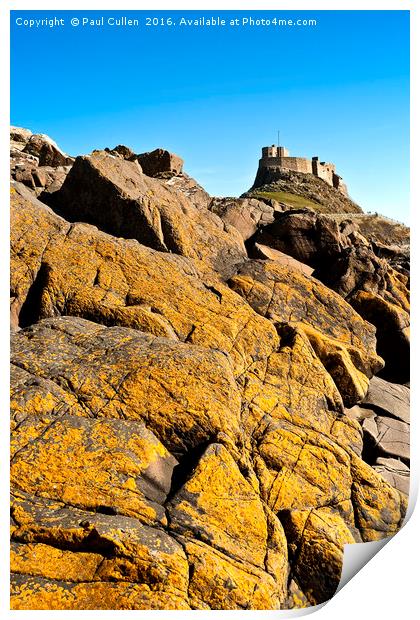 Lindisfarne Castle over lichen covered rocks. Print by Paul Cullen