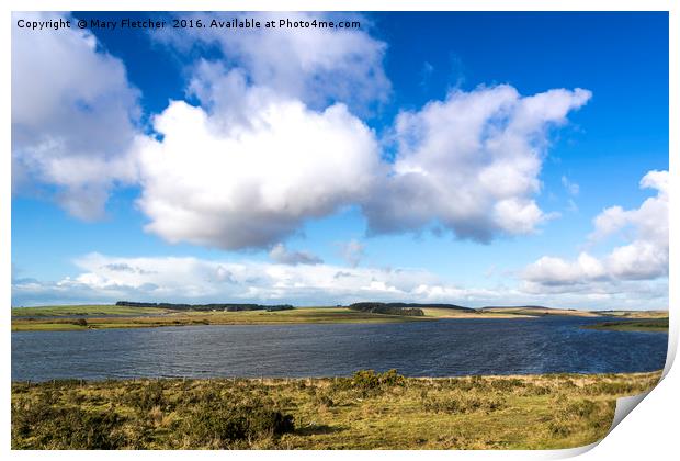 Colliford Lake Print by Mary Fletcher