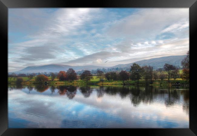 Pendle at Dawn . Framed Print by Irene Burdell