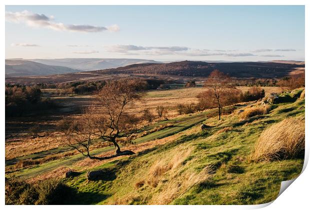 Trees on a hillside at sunset. Upper Padley, Derby Print by Liam Grant