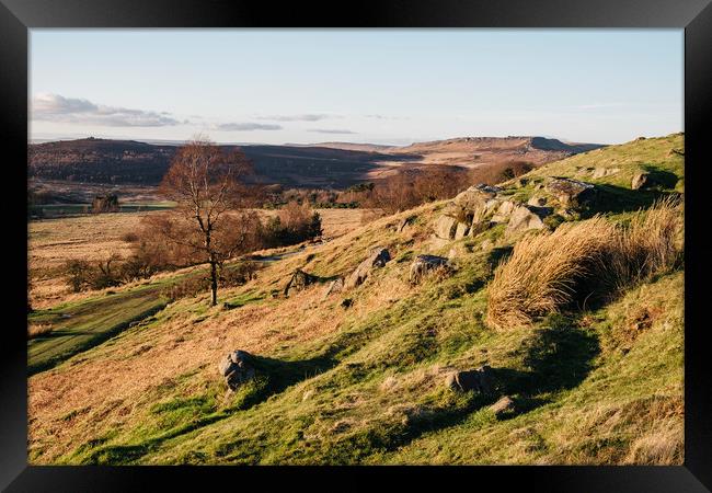 Trees on a hillside at sunset. Upper Padley, Derby Framed Print by Liam Grant