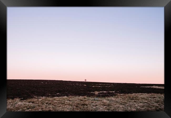 Lone tree on moorland at twilight. Derbyshire, UK. Framed Print by Liam Grant