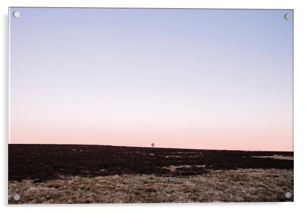 Lone tree on moorland at twilight. Derbyshire, UK. Acrylic by Liam Grant