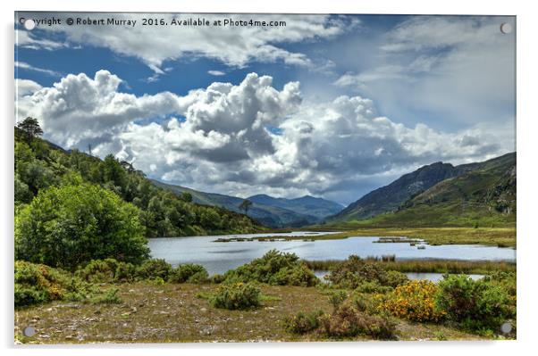Highland Lochan Acrylic by Robert Murray