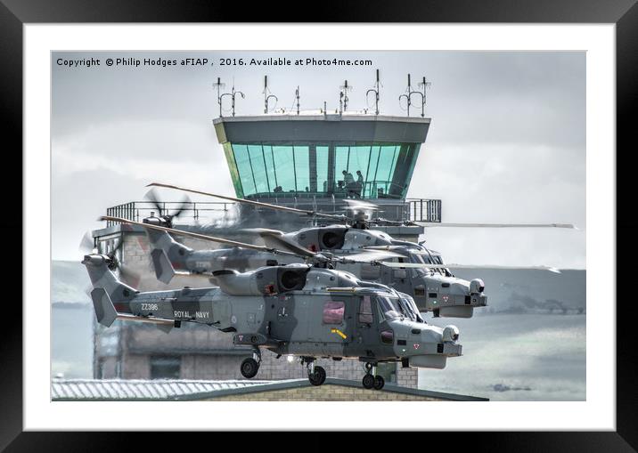 Westland Lynx Wildcats at RNAS Yeovilton 2016 Framed Mounted Print by Philip Hodges aFIAP ,