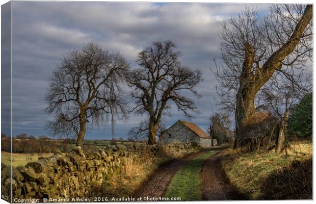 Country Lane in Richmondshire Canvas Print by AMANDA AINSLEY